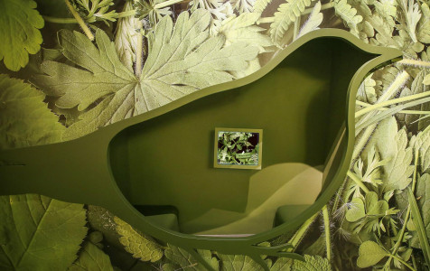 NO pausktis_foto Tomo Vinicko.jpg